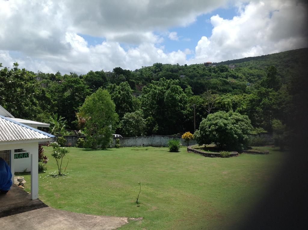 Pensjonat Chillax On Our Farm Ocho Rios Zewnętrze zdjęcie