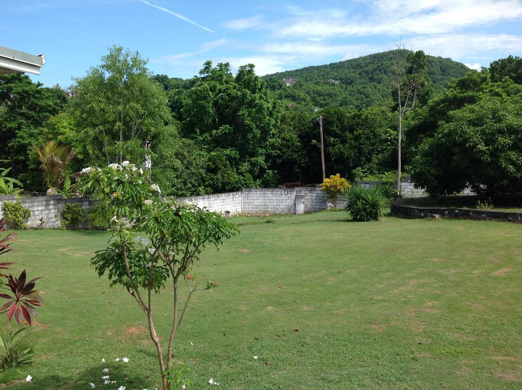 Pensjonat Chillax On Our Farm Ocho Rios Zewnętrze zdjęcie