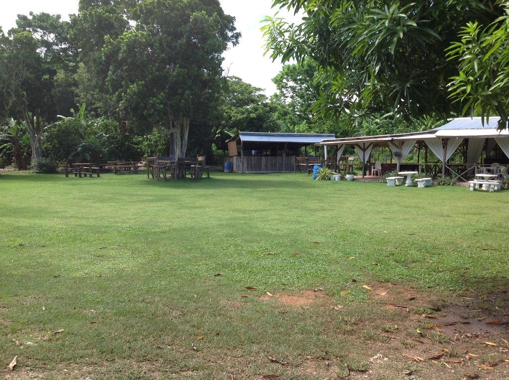 Pensjonat Chillax On Our Farm Ocho Rios Zewnętrze zdjęcie